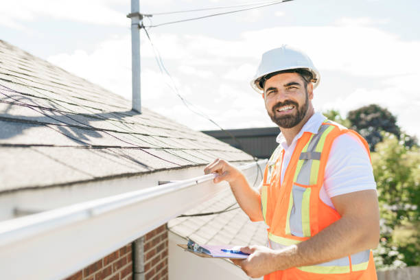 Best Roof Gutter Cleaning  in College Park, GA